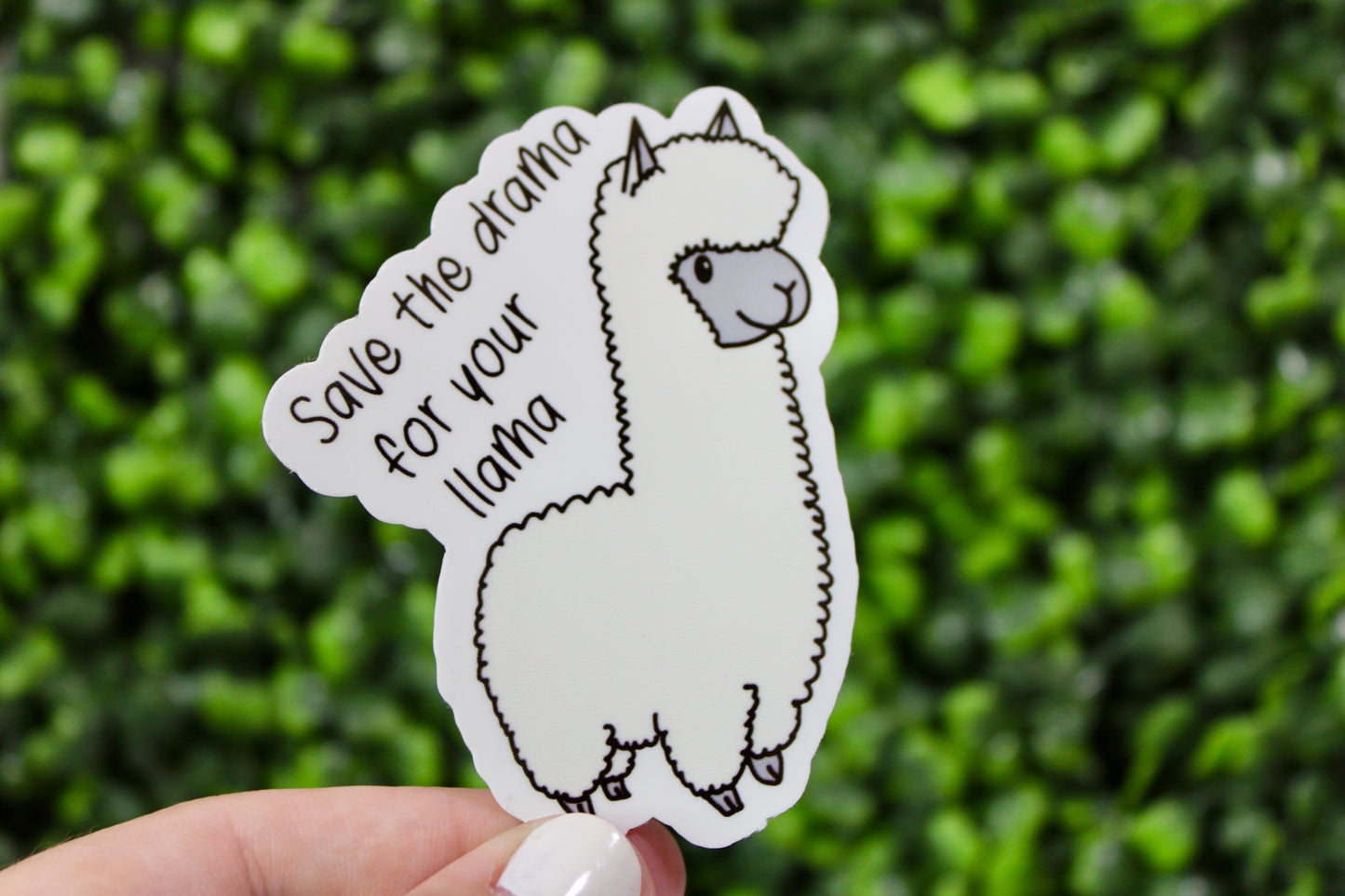 Save the drama for your llama. Funny animal sticker. Drama Llama. Llama Love. Llama. Floof llama.