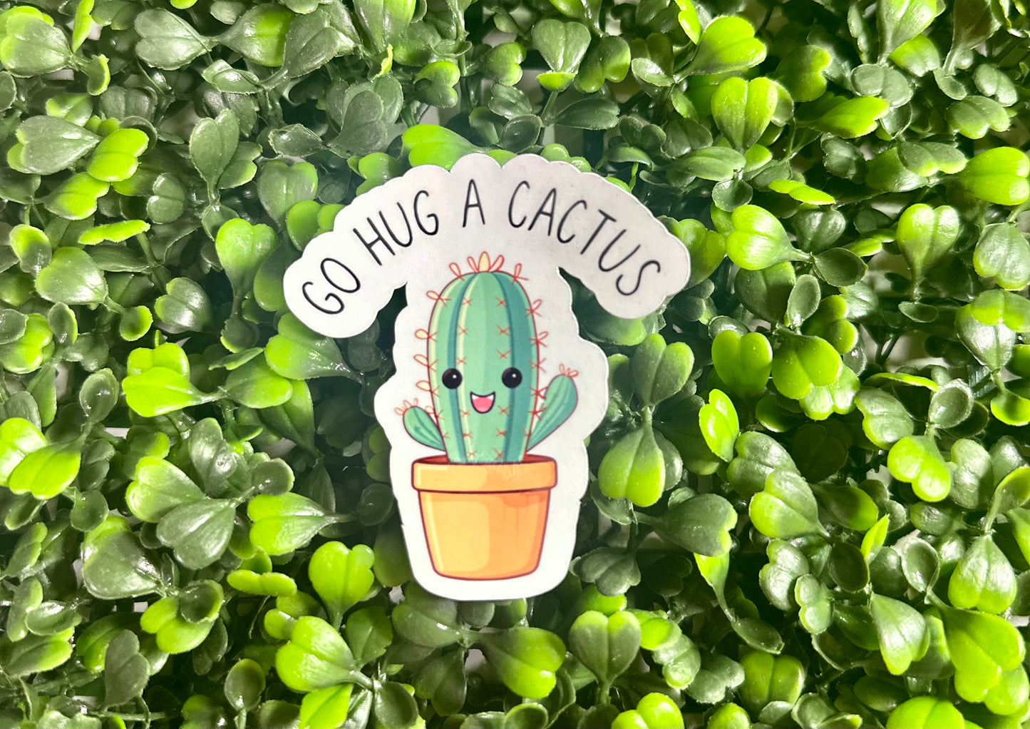 Go Hug a Cactus