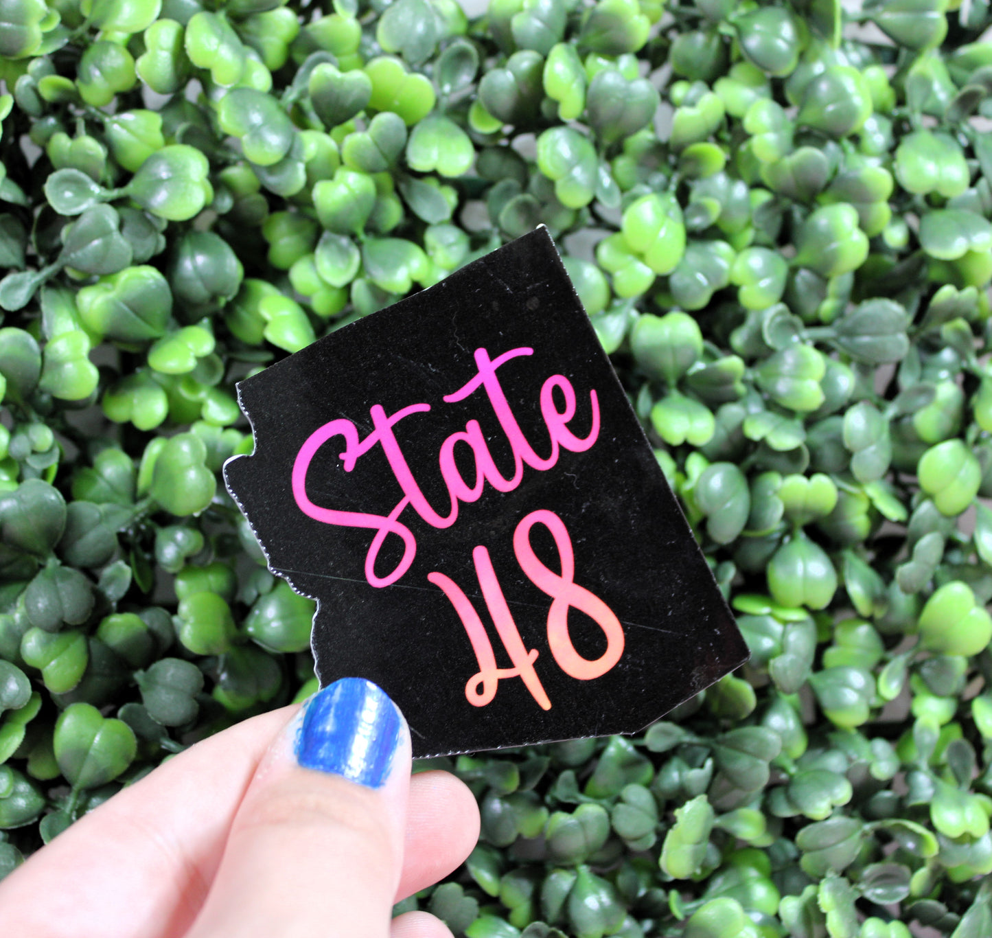 State 48 Decorative Sticker - Basic