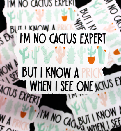 Cactus saying "I'm no cactus expert, but i know a prick when I see one" Decal/ Sticker perfect for laptops, water bottles and more!